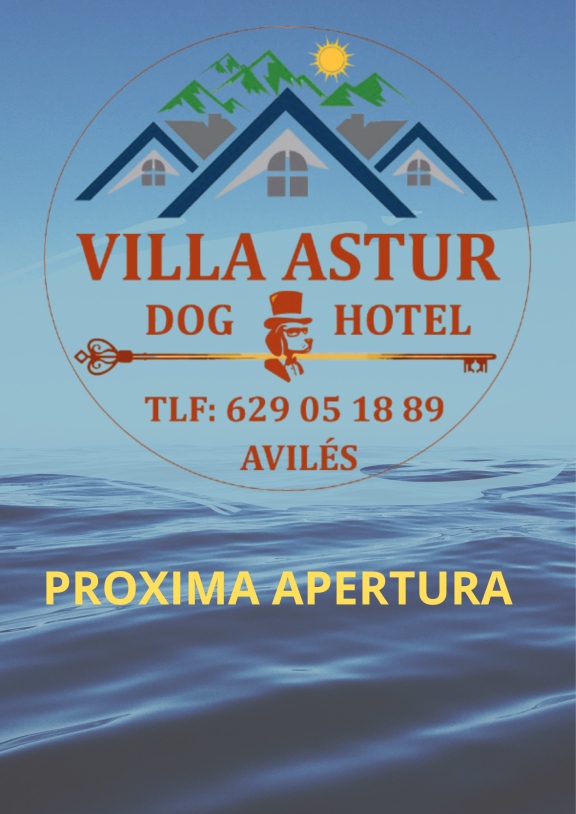 http://Camada