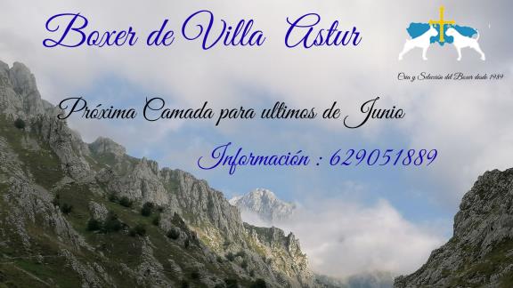 http://Próxima Camada ultimos de Junio